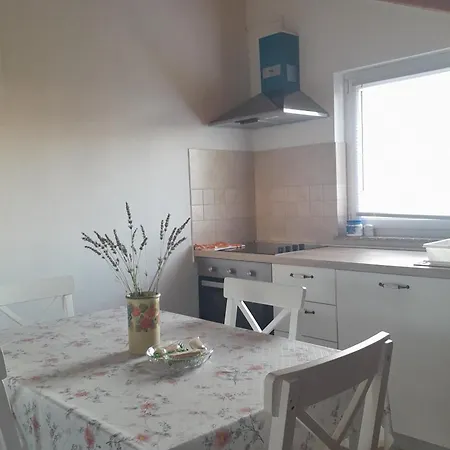 Apartment By The Sea Tkon, Pasman - 24280 Tkon