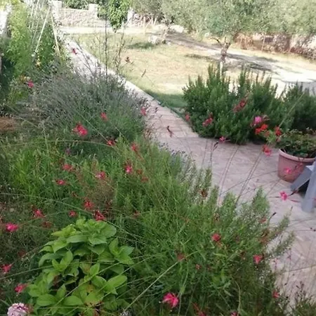 Apartment By The Sea Tkon, Pasman - 24280 Tkon